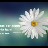 frase-de-amor-2019