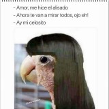 este-meme-tiene-un-parecido-a-Florencia-Kirchner