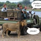 el-meme-de-pueden-ver-el-leon-2019