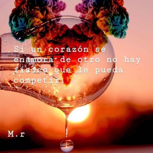 frase bonita de amor