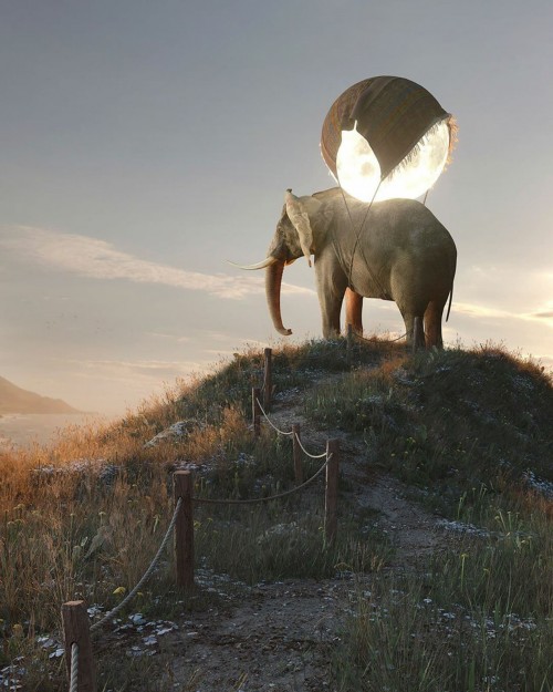 fondo-bonito-elefante-cargando-la-luna.jpg