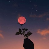 Un-PAISAJE-bonito-de-FLOR-de-Luna