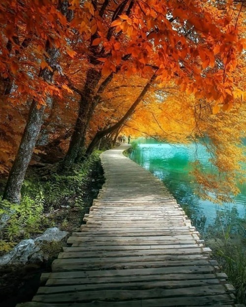 El-sendero-de-la-vida-reflexion.jpg