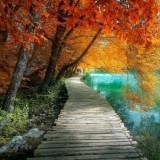 El-sendero-de-la-vida-reflexion