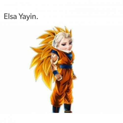 Elsa-Yayin-meme.jpg