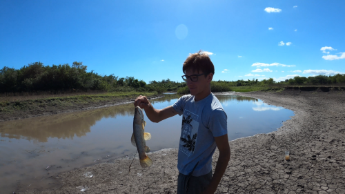 Pescando en un rio lleno de tarariras y bagres sapos 16