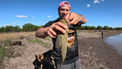 Pescando en un rio lleno de tarariras y bagres sapos 21