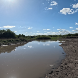 Pescando-en-un-rio-lleno-de-tarariras-y-bagres-sapos-22