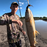 Pescando-en-un-rio-lleno-de-tarariras-y-bagres-sapos-23