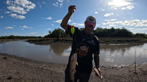 Pescando en un rio lleno de tarariras y bagres sapos 24