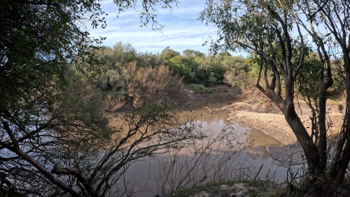 Pescando-y-cocinando-en-el-Rio-Gualeguaychu-Ruta-39--21.png