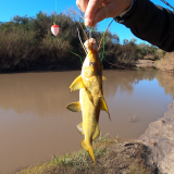 Pescando-y-cocinando-en-el-Rio-Gualeguaychu-Ruta-39--3