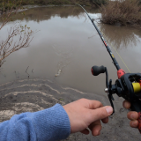 Pescando-y-cocinando-en-el-Rio-Gualeguaychu-Ruta-39--30