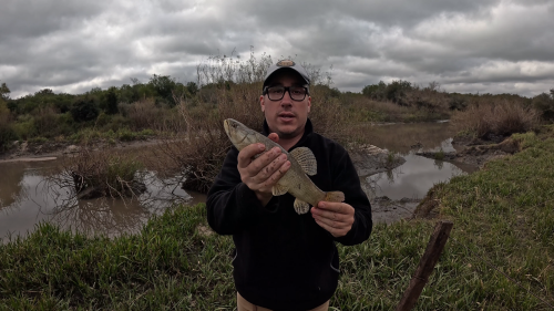 Pescando-y-cocinando-en-el-Rio-Gualeguaychu-Ruta-39--36.png