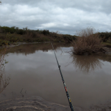 Pescando-y-cocinando-en-el-Rio-Gualeguaychu-Ruta-39--46