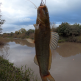Pescando-y-cocinando-en-el-Rio-Gualeguaychu-Ruta-39--47