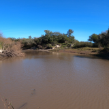 Pescando-y-cocinando-en-el-Rio-Gualeguaychu-Ruta-39--7