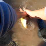 Pescando-y-cocinando-en-el-Rio-Gualeguaychu-Ruta-39--9