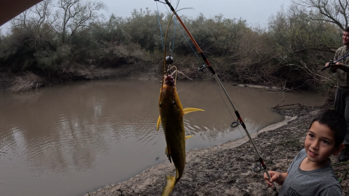 Pescando-y-cocinando-en-el-Rio-Gualeguaychu-Ruta-39-12.png