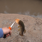 Pescando-y-cocinando-en-el-Rio-Gualeguaychu-Ruta-39-17