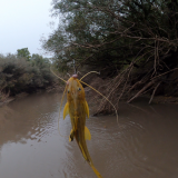 Pescando-y-cocinando-en-el-Rio-Gualeguaychu-Ruta-39-19
