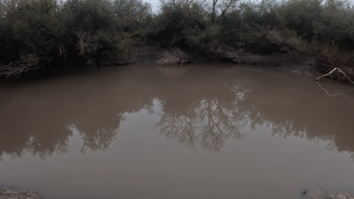 Pescando-y-cocinando-en-el-Rio-Gualeguaychu-Ruta-39-2.png
