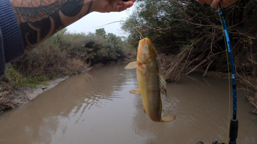 Pescando-y-cocinando-en-el-Rio-Gualeguaychu-Ruta-39-23.png