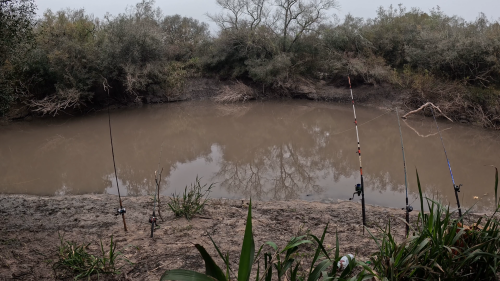 Pescando-y-cocinando-en-el-Rio-Gualeguaychu-Ruta-39-32.png