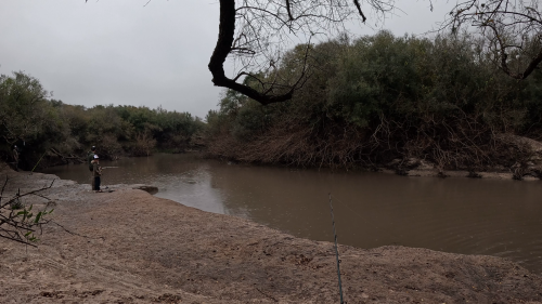 Pescando-y-cocinando-en-el-Rio-Gualeguaychu-Ruta-39-49.png