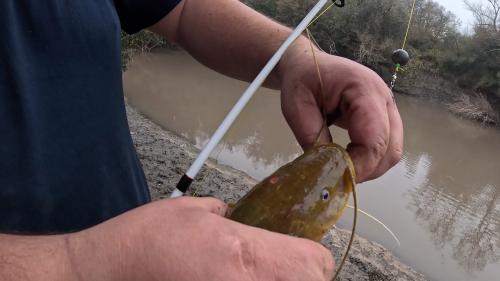 Pescando-y-cocinando-en-el-Rio-Gualeguaychu-Ruta-39-9.png