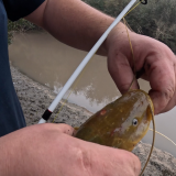 Pescando-y-cocinando-en-el-Rio-Gualeguaychu-Ruta-39-9