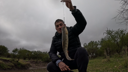 Dias-de-pesca-buscando-el-pique-por-el-Rio-Gualeguay-y-arroyos-Entrerrianos-33.png