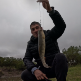 Dias-de-pesca-buscando-el-pique-por-el-Rio-Gualeguay-y-arroyos-Entrerrianos-33
