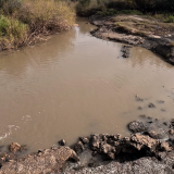 Dias-de-pesca-buscando-el-pique-por-el-Rio-Gualeguay-y-arroyos-Entrerrianos-34