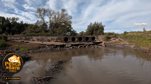 Dias-de-pesca-buscando-el-pique-por-el-Rio-Gualeguay-y-arroyos-Entrerrianos-35.png
