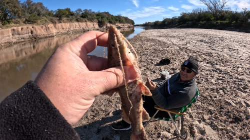 Dias-de-pesca-buscando-el-pique-por-el-Rio-Gualeguay-y-arroyos-Entrerrianos-4.png