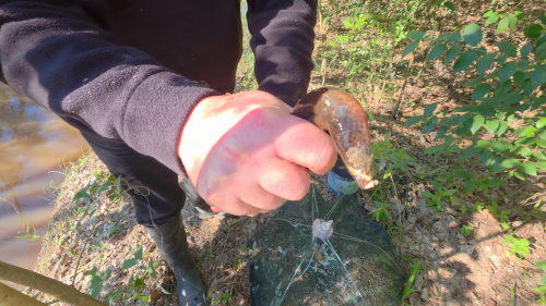 Pesca-y-carne-asada-en-el-puente-viejo-de-la-ruta-14-Entre-Rios-41.png