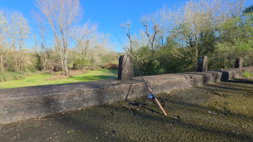 Pesca-y-carne-asada-en-el-puente-viejo-de-la-ruta-14-Entre-Rios-7.png