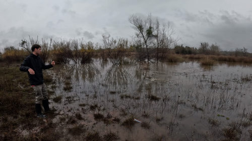 Pescando-tarariras-en-cantera-abandonada-de-Colon-Entre-Rios-16.png