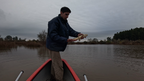 Pescando-tarariras-en-cantera-abandonada-de-Colon-Entre-Rios-38.png