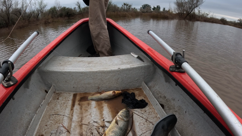 Pescando-tarariras-en-cantera-abandonada-de-Colon-Entre-Rios-42.png